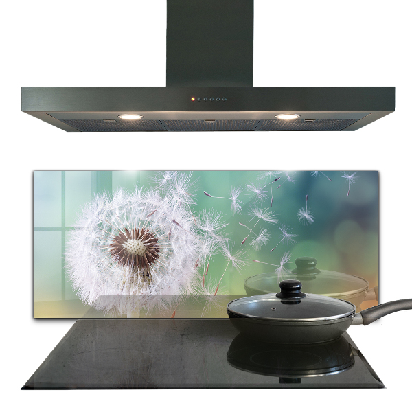 Spatplaat keuken Paardenbloem in de wind