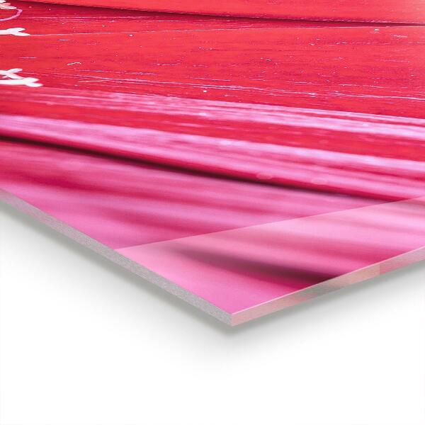 Spatscherm keuken glas Roze bloemdetails Natuur