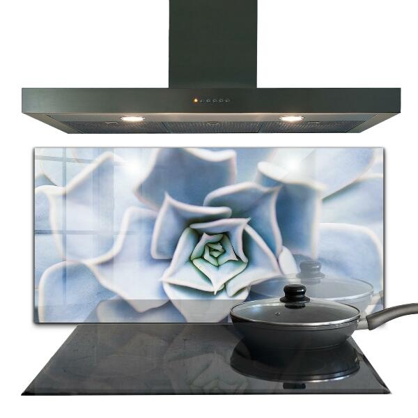 Achterwand keuken Cactus Succulent