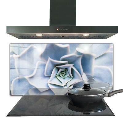 Achterwand keuken Cactus Succulent