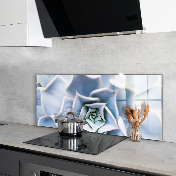 Achterwand keuken Cactus Succulent