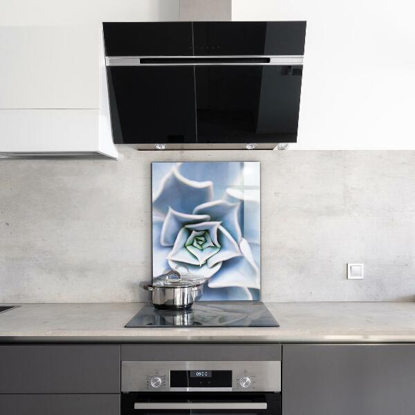Achterwand keuken Cactus Succulent