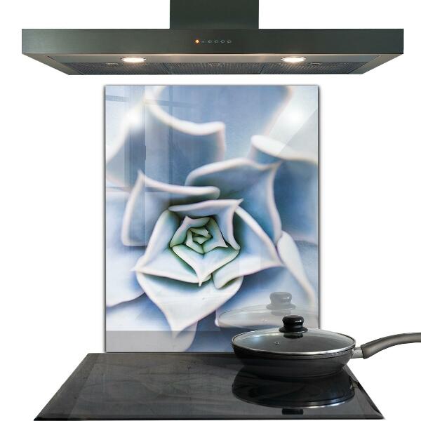 Achterwand keuken Cactus Succulent