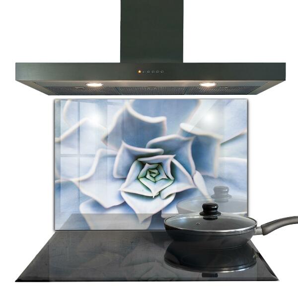 Achterwand keuken Cactus Succulent