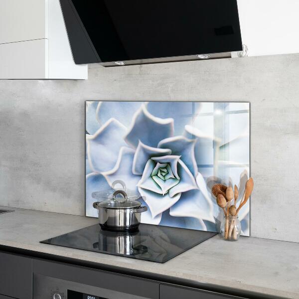 Achterwand keuken Cactus Succulent