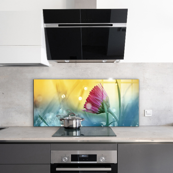 Foto achterwand keuken Teder madeliefje in de wei