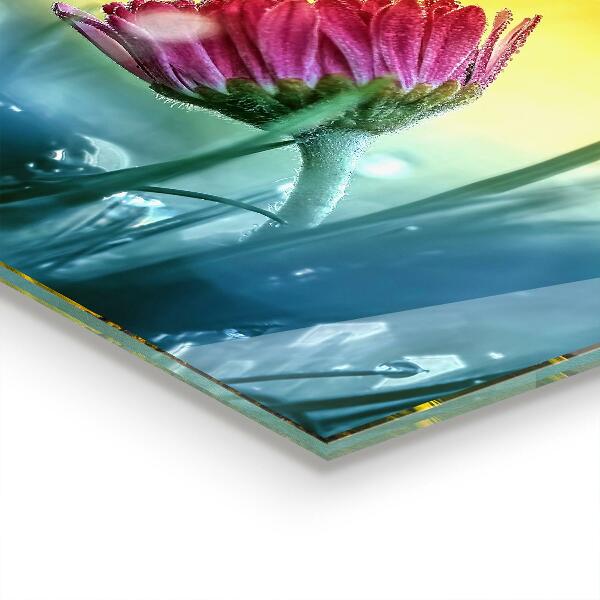 Foto achterwand keuken Teder madeliefje in de wei