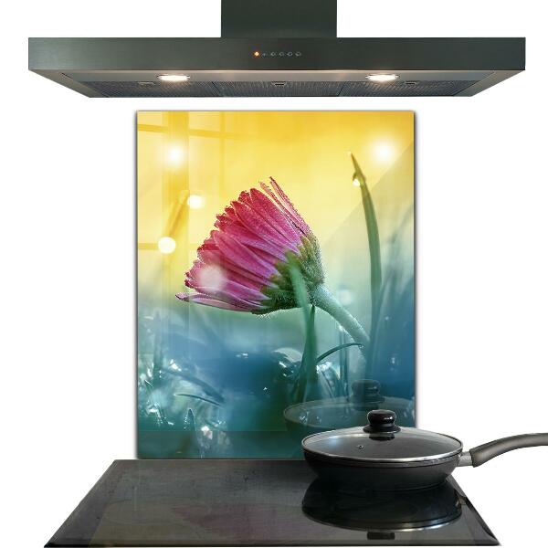 Foto achterwand keuken Teder madeliefje in de wei