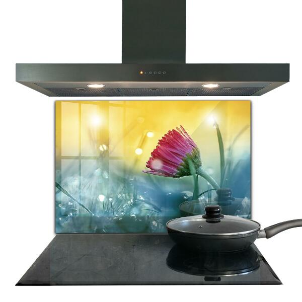 Foto achterwand keuken Teder madeliefje in de wei