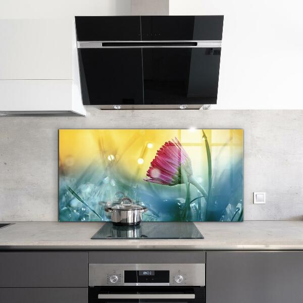 Foto achterwand keuken Teder madeliefje in de wei