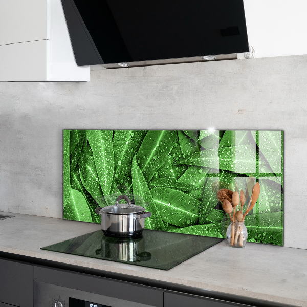 Keuken achterwand glas Groene bladeren na de regen