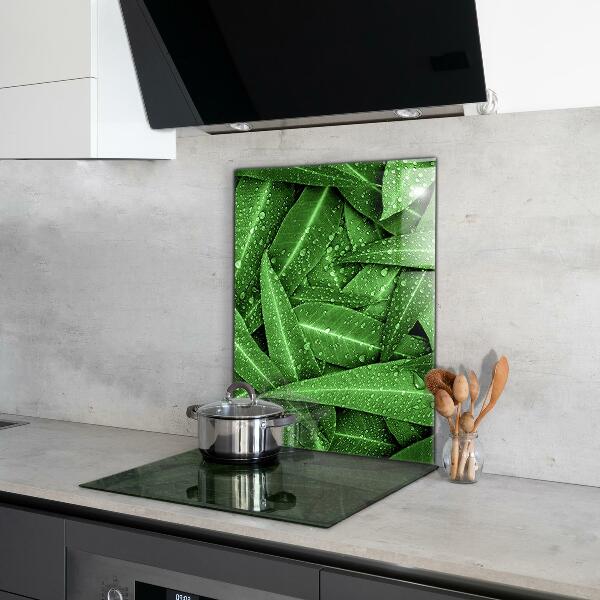 Keuken achterwand glas Groene bladeren na de regen