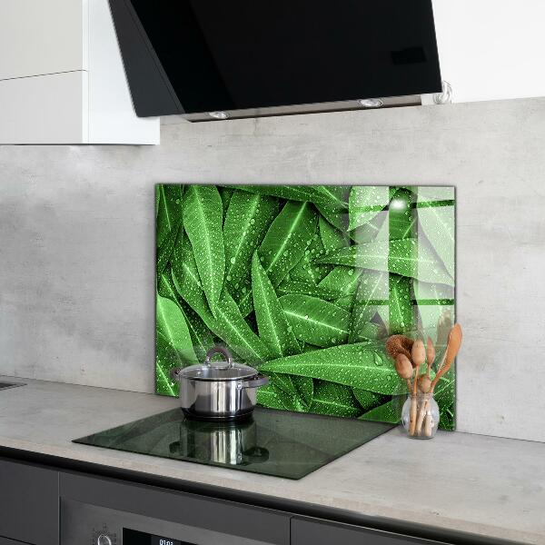 Keuken achterwand glas Groene bladeren na de regen