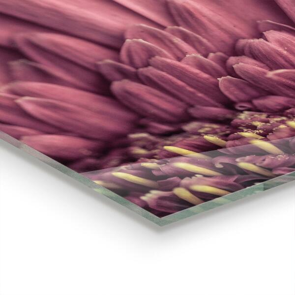 Spatplaat keuken Bloem Margaretka Gerbera