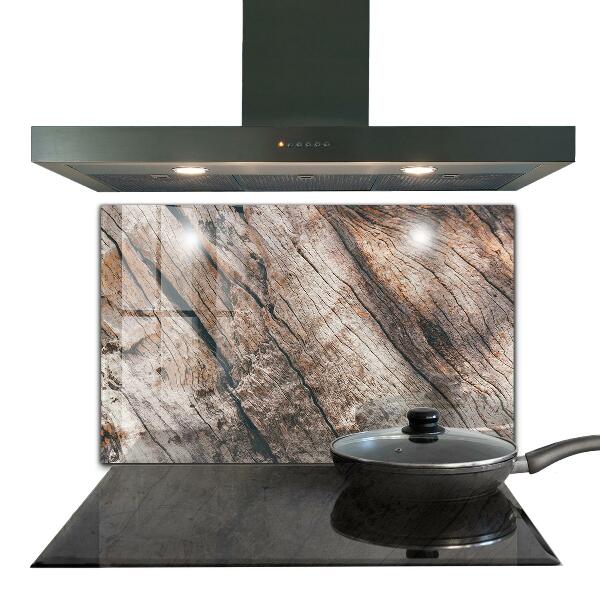 Spatscherm keuken glas Structuur van boomschors en stam