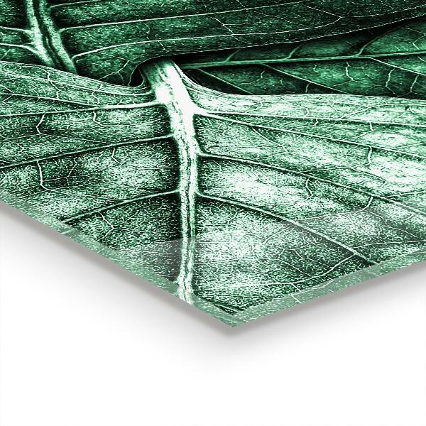 Foto achterwand keuken Details van het groene blad