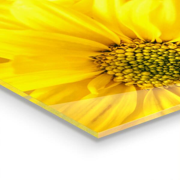 Spatscherm keuken glas Zomerse gele bloemen