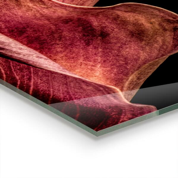 Achterwand keuken Elegant, delicaat blad