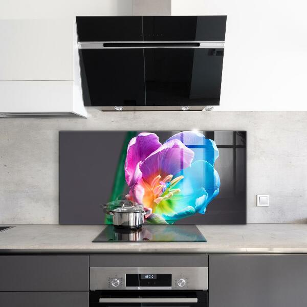 Keuken achterwand glas Kleurrijke regenboogbloem