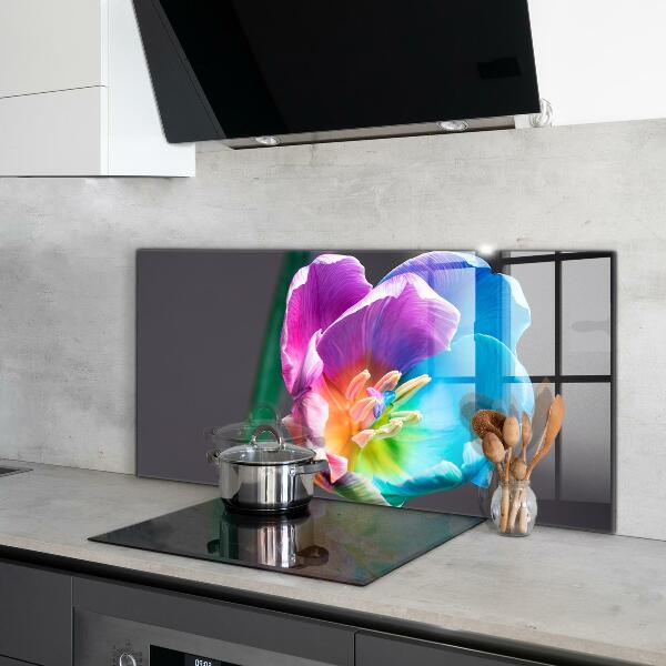 Keuken achterwand glas Kleurrijke regenboogbloem