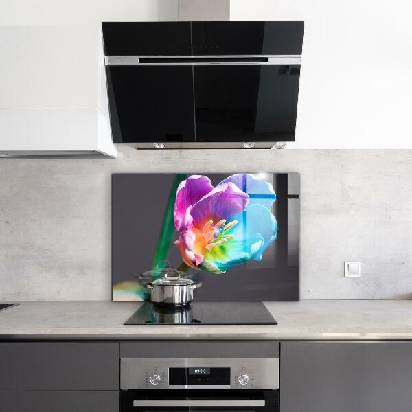 Keuken achterwand glas Kleurrijke regenboogbloem