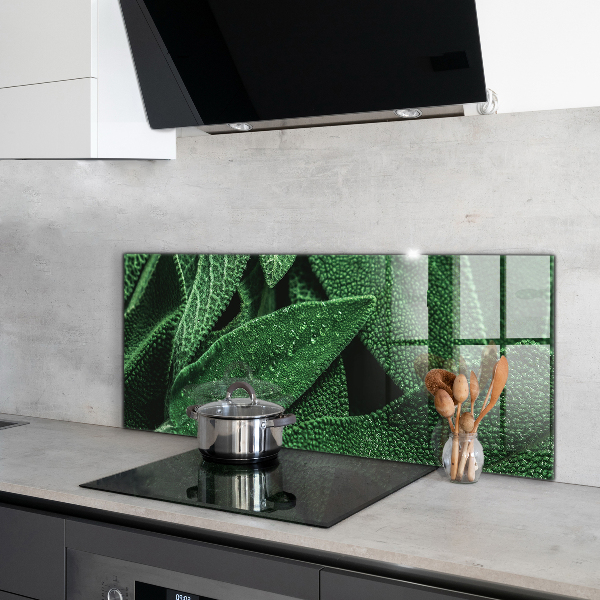 Spatscherm keuken glas Groene bladeren na de regen