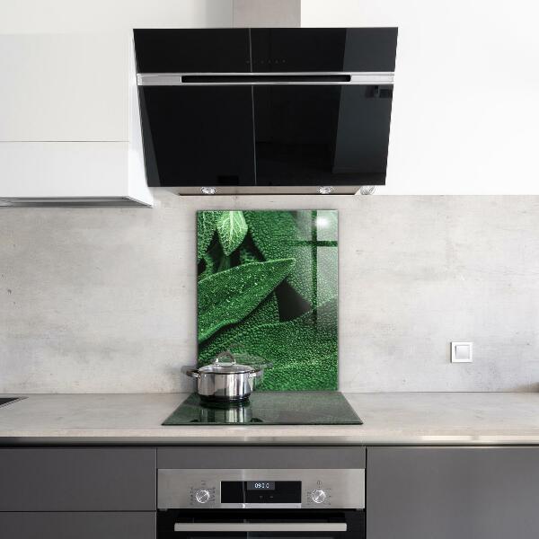 Spatscherm keuken glas Groene bladeren na de regen