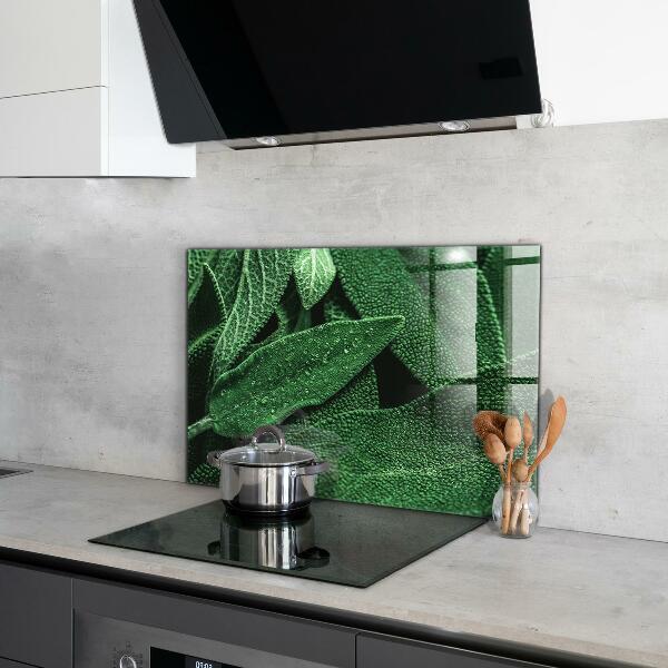 Spatscherm keuken glas Groene bladeren na de regen