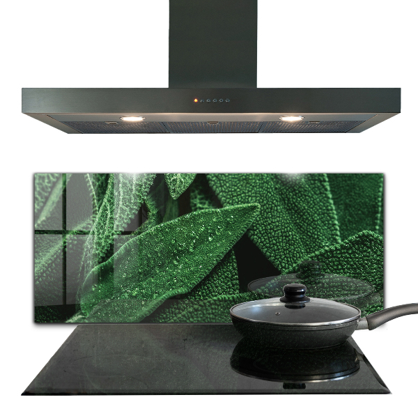 Spatscherm keuken glas Groene bladeren na de regen