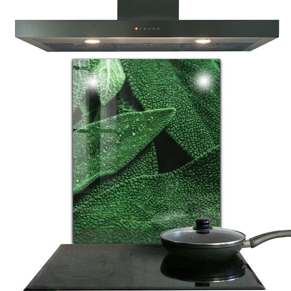 Spatscherm keuken glas Groene bladeren na de regen