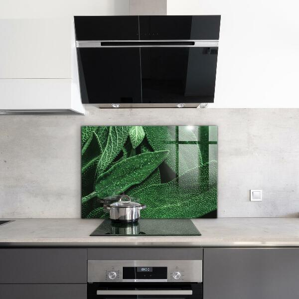 Spatscherm keuken glas Groene bladeren na de regen