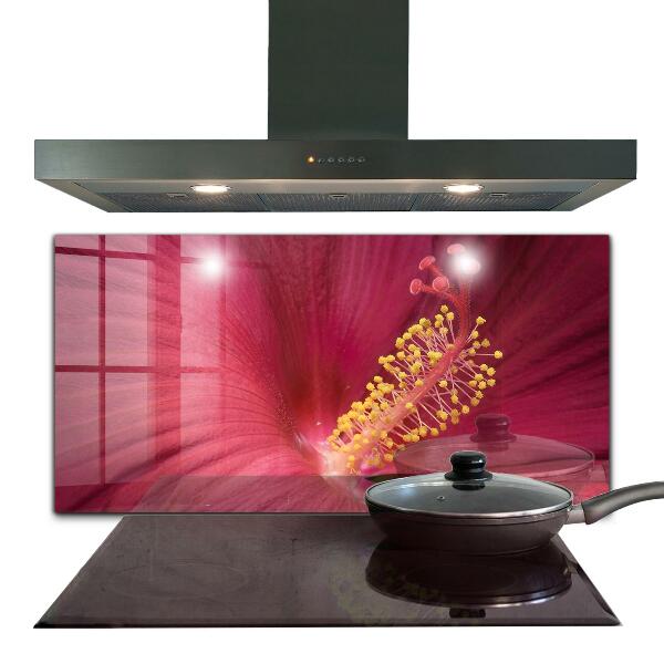 Spatscherm keuken glas Roze hibiscus