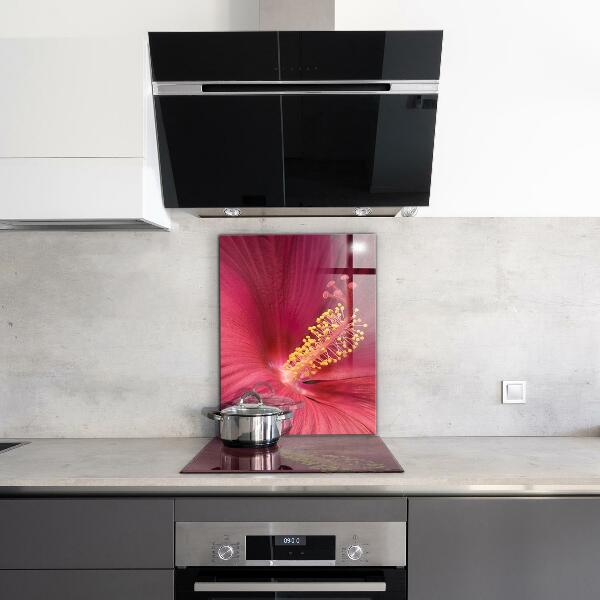 Spatscherm keuken glas Roze hibiscus