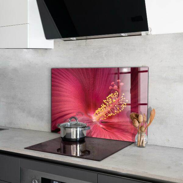 Spatscherm keuken glas Roze hibiscus