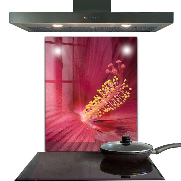 Spatscherm keuken glas Roze hibiscus