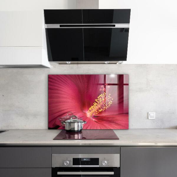 Spatscherm keuken glas Roze hibiscus