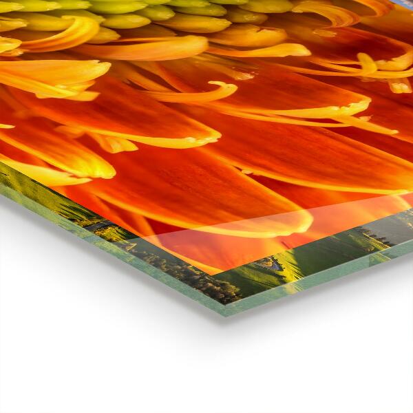 Spatscherm keuken glas Gerbera bloem oranje