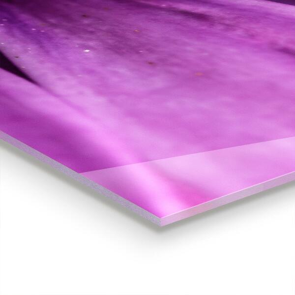 Achterwand keuken Paarse zomerbloem