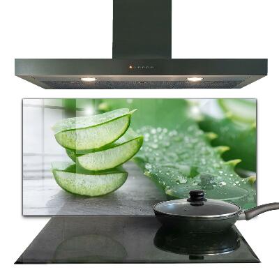 Foto achterwand keuken Aloë vera-plant