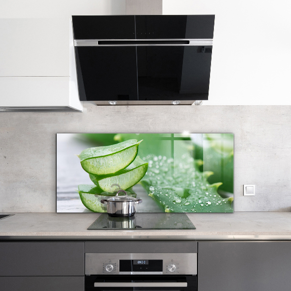 Foto achterwand keuken Aloë vera-plant
