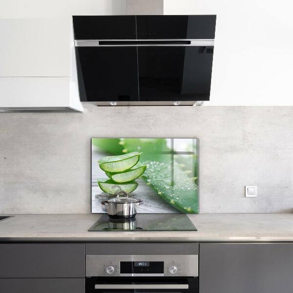 Foto achterwand keuken Aloë vera-plant