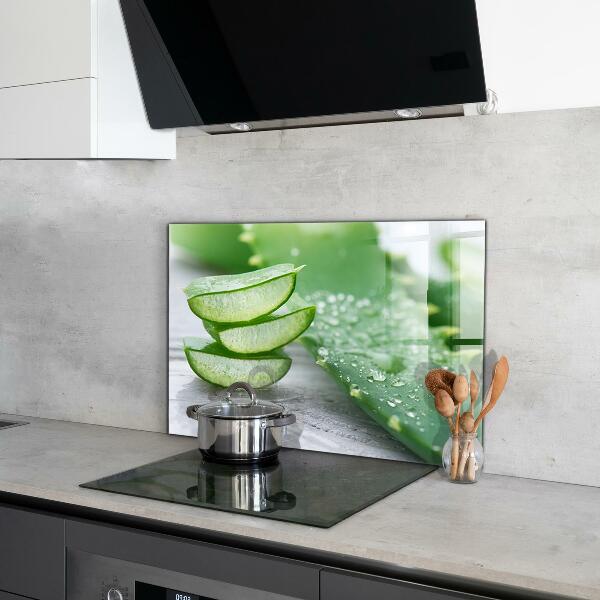 Foto achterwand keuken Aloë vera-plant