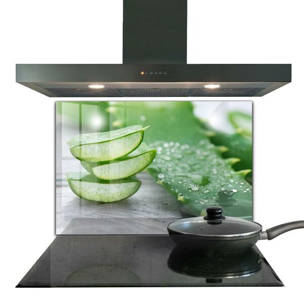 Foto achterwand keuken Aloë vera-plant