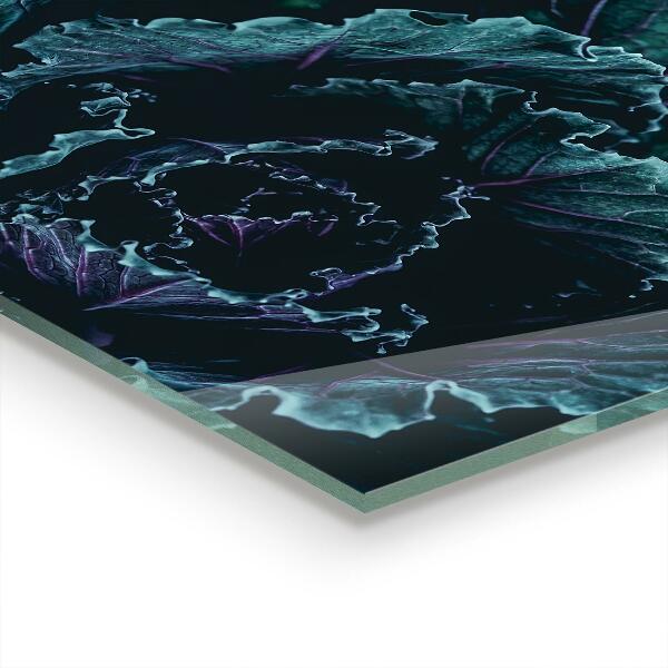 Spatscherm keuken glas Donkergroene koolbladeren