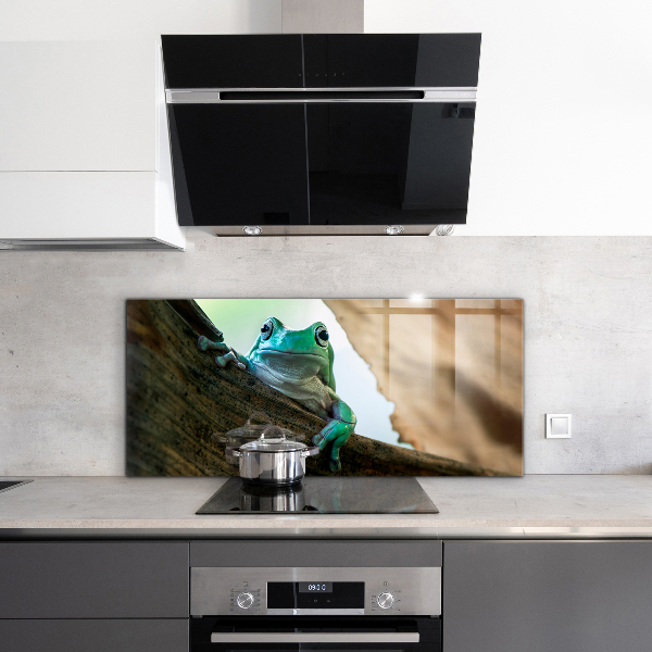 Spatscherm keuken glas Nieuwsgierige kikker op een blad