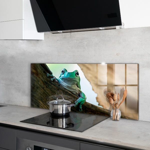 Spatscherm keuken glas Nieuwsgierige kikker op een blad