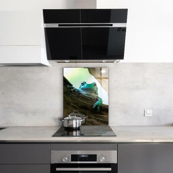 Spatscherm keuken glas Nieuwsgierige kikker op een blad