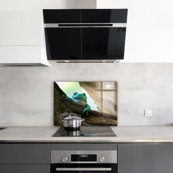 Spatscherm keuken glas Nieuwsgierige kikker op een blad