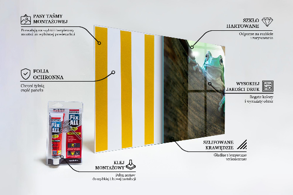 Spatscherm keuken glas Nieuwsgierige kikker op een blad