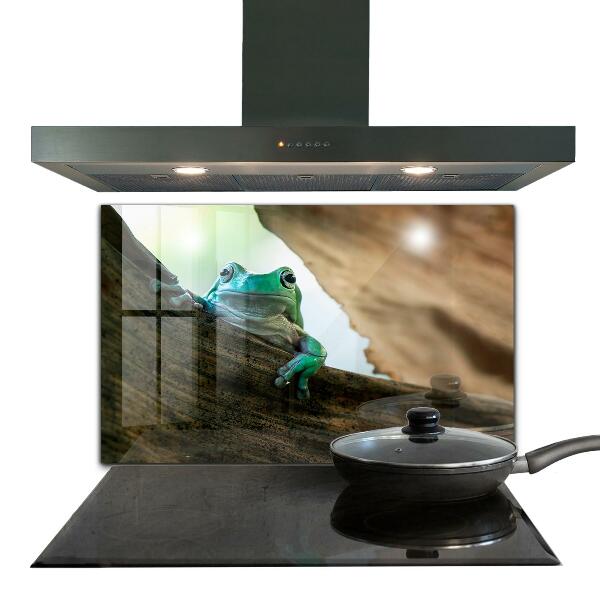 Spatscherm keuken glas Nieuwsgierige kikker op een blad